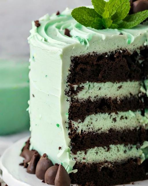 Refreshing Mint Chocolate Delight